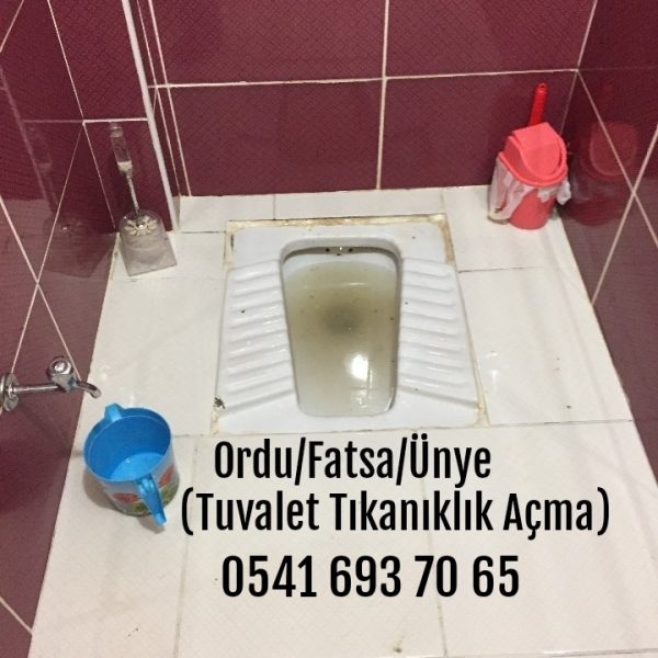 Fatsa Tuvalet Tıkanıklığı
